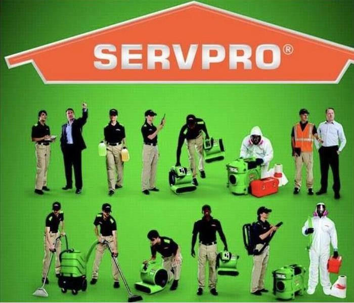servpro team 